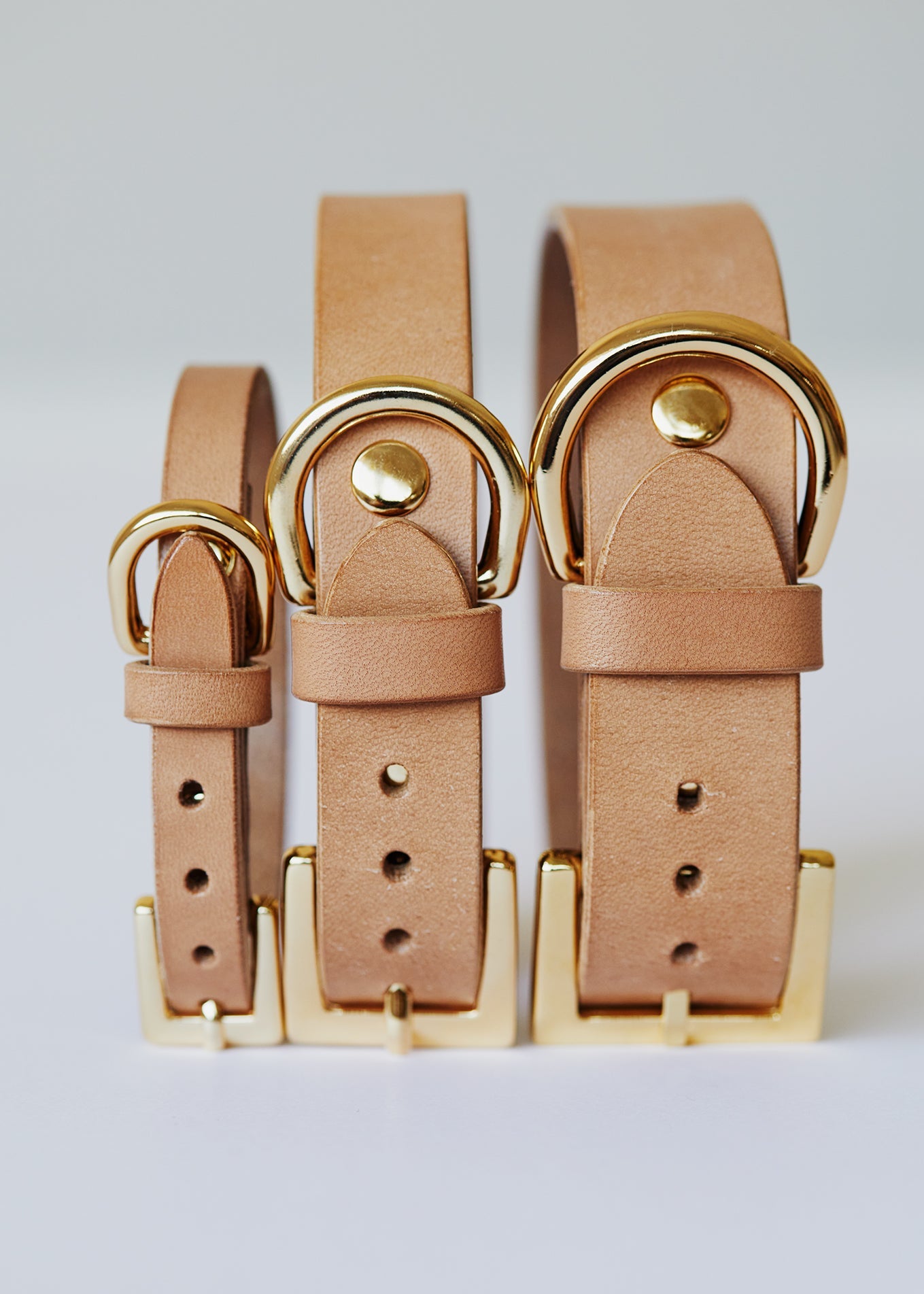 Dog Collar