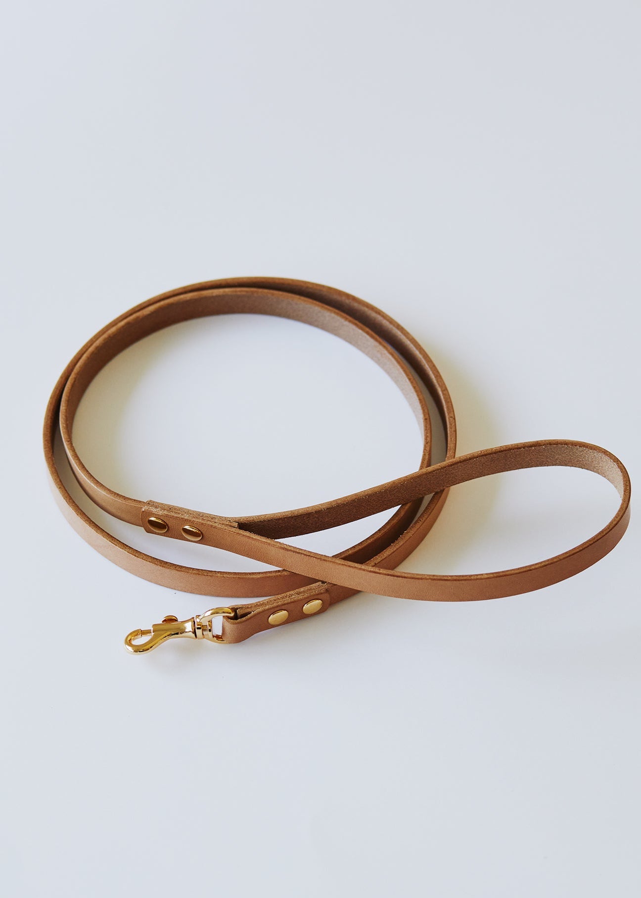 Dog Lead