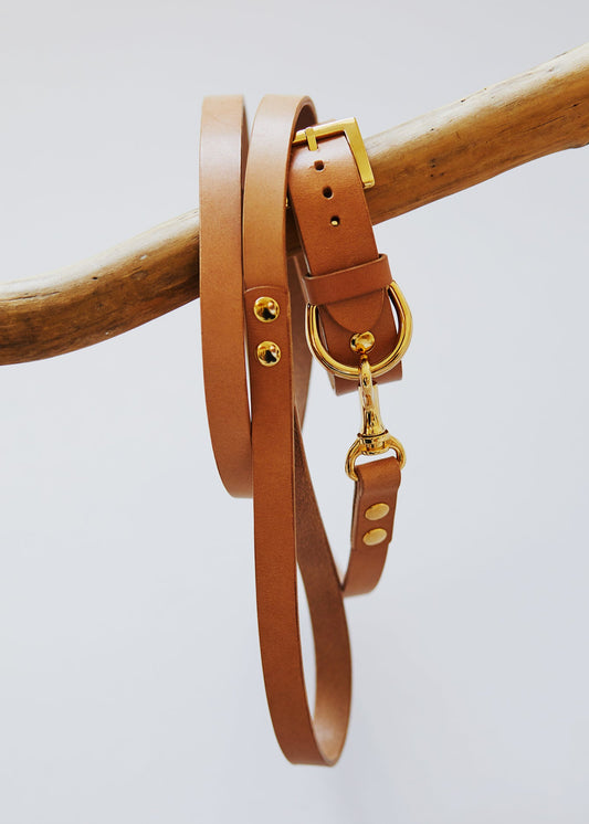 Dog Collar