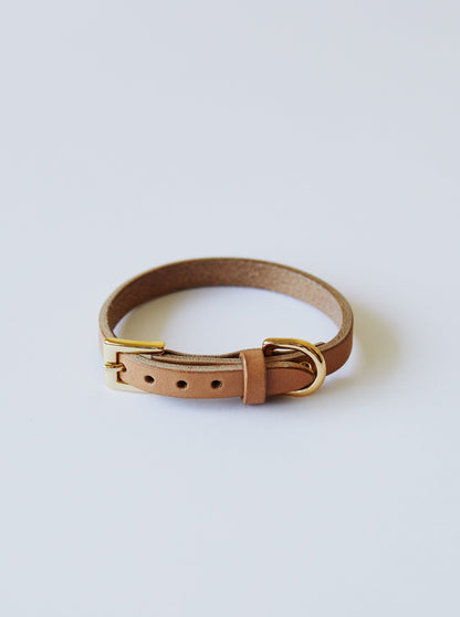 Dog Collar