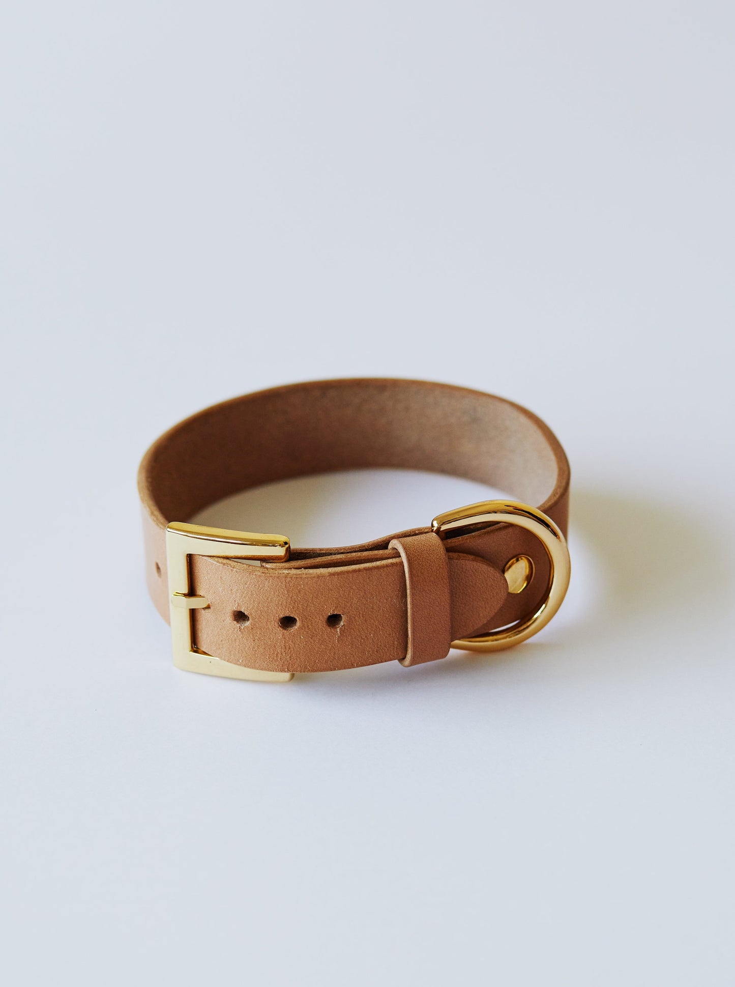 Dog Collar